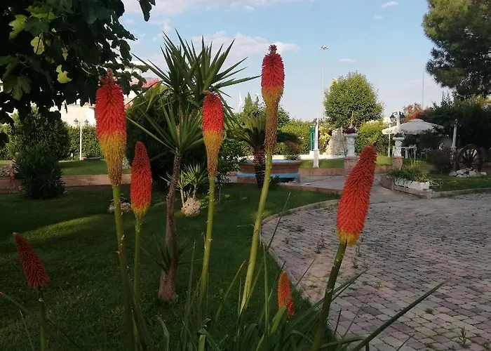 ゲストハウス Trattoria Cognigni 3*